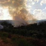 Kebakaran Lahan Di Wilayah Kabupaten Sanggau