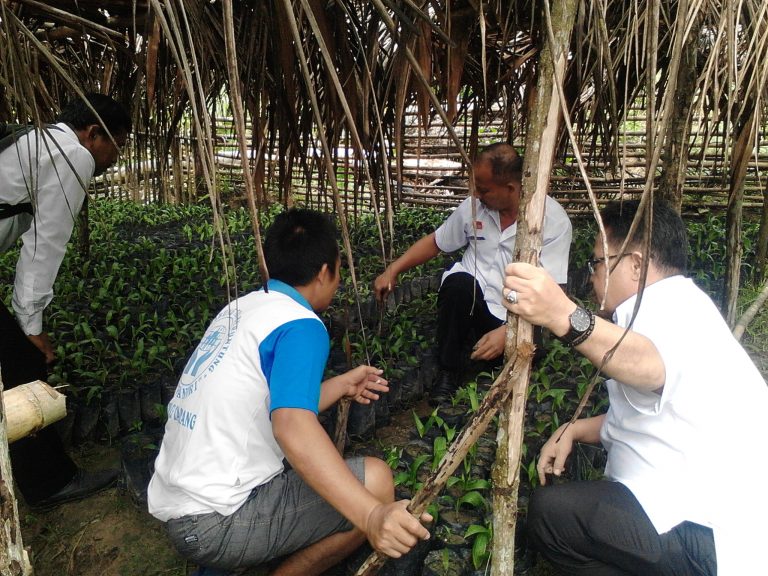 Monitoring bantuan benih kelapa sawit