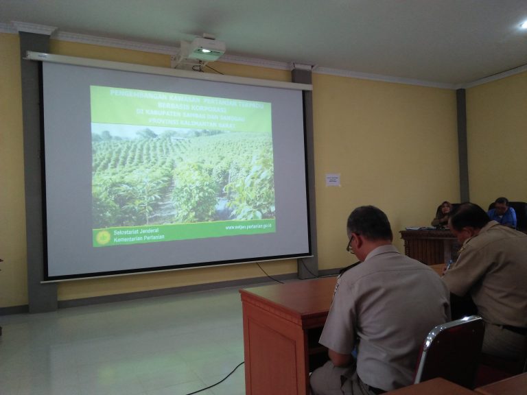 Pengembangan Kawasan Pertanian Terpadu Berbasis Koorporasi di Sanggau