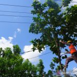 PLN Sanggau siagakan ratusan petugas amankan pasokan listrik