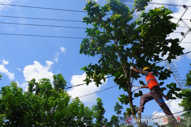 PLN Sanggau siagakan ratusan petugas amankan pasokan listrik