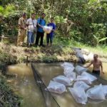 BANTUAN BIBIT IKAN KEPADA KELOMPOK PEMBUDIDAYA DI KELURAHAN BUNUT KEC. KAPUAS