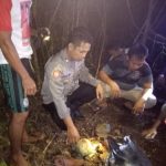 Hebooh! Penemuan Tulang Belulang Manusia di Kecamatan Batang Tarang