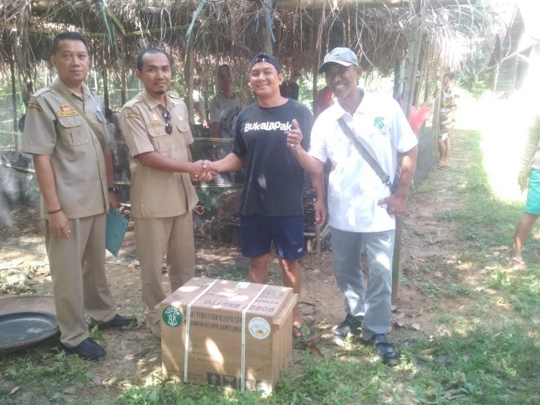 Penyerahan Bantuan Kegiatan Pengembangan Tanaman Kelapa Sawit Rakyat Dinas Perkebunan dan Peternakan Kabupaten Sanggau Tahun Anggaran 2019