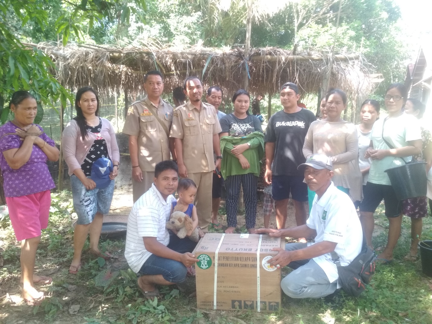 Penyerahan bantuan kecambah kelapa sawit  secara simbolis  dikelompok tani  Sawit Baoh Dusun Nala Loba  Desa Embala Kecamatan Parindu Hulu