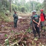 PEMBUKAAN JALAN MENUJU DESA BAGAN ASAM MULAI DIKERJAKAN