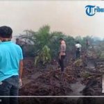 VIDEO: Dandim dan Kapolres Turun Langsung Padamkan 3 Hektar Lahan Yang Terbakar