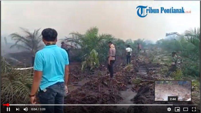 VIDEO: Dandim dan Kapolres Turun Langsung Padamkan 3 Hektar Lahan Yang Terbakar