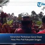 VIDEO: Kemeriahan Pembukaan Gawai Dayak Nosu Minu Podi Kabupaten Sanggau
