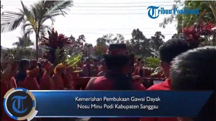 VIDEO: Kemeriahan Pembukaan Gawai Dayak Nosu Minu Podi Kabupaten Sanggau