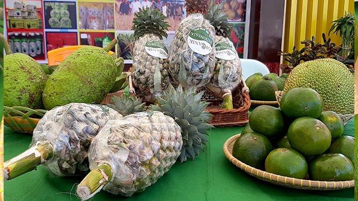 Melonjak, Ekspor Pertanian Kalbar 2019 Melalui Entikong Diatas Rp5 Miliar