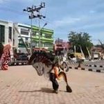 VIDEO: Tarian Kuda Lumping di Acara Pesta Rakyat dalam Rangka Hari Bhayangkara Ke-73 Polres Sanggau