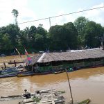 1368 PESERTA LOMBA MANCING MANIA HARI JADI KE-402 KOTA SANGGAU