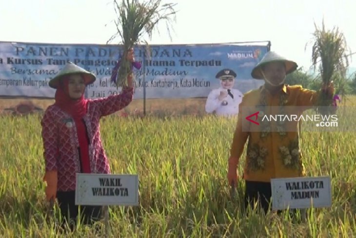 FAO dukung tiga kecamatan di Sanggau jadi sentra padi organik