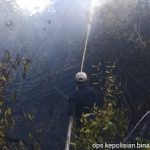 Kapolsek Tayan Hilir Padamkan Karhutla