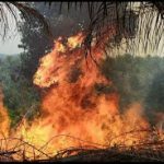 Upaya Pemadaman Lahan di Entikong Terkendala Angin Kencang dan Sumber Air Jauh