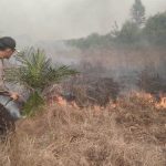 Kabagops Polres Sanggau Berjibaku Padamkan Karhutla di Parindu