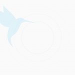 Lorem ipsum - DISBIMASDA