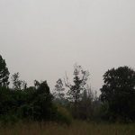 Kabut Asap Selimuti Sanggau, Ini Wakil Bupati Yohanes Ontot Ungkap Hal Ini