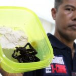 Empat warga Polandia segera di deportasi Imigrasi Sanggau