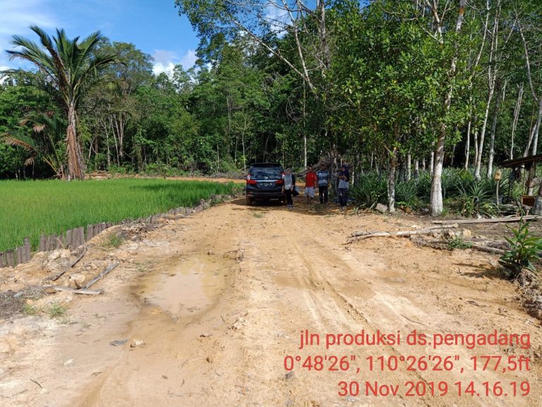 Disbunnak Lakukan Monev Pembangunan Jalan Produksi Perkebunan di Desa Pengadang