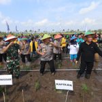 Wisata Tanam Padi Milenial, Kapolda Bersama Gubernur dan Pangdam Nyemplung Sawah