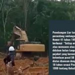 Dugaan Pembalakan Liar di Meliau, WALHI Angkat Bicara