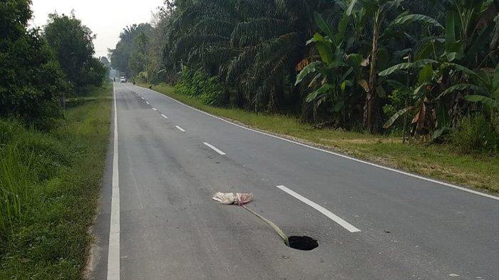 DAD Sanggau Desak Perbaikan Ruas Jalan Nasional yang Berlubang di Dusun Jemongko