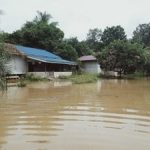 Puluhan Rumah Warga di Meliau Dilanda Banjir
