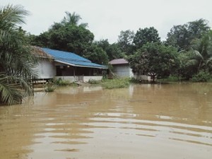Puluhan Rumah Warga di Meliau Dilanda Banjir