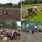 Bhabinkamtibmas Copot Sepatu Dan Turun Langsung ke Sawah Bantu Kelompok Tani Menanam Padi