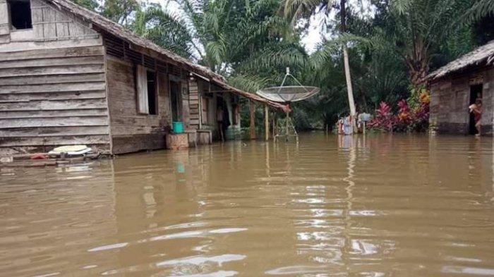 Banjir Landa Dusun Lubuk Benuang Sanggau, Ketinggian Air Sepinggang Orang Dewasa