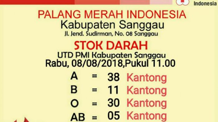 Update Stok Darah di UDD PMI Sanggau, Rabu (22/1/2020)