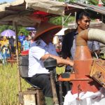 Bupati Sanggau Melaksanakan Panen Raya Padi Poktan Lestari Dusun Bengkuang Sari, Desa Kasro Mego, Kecamatan Beduai