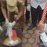 Polres Sanggau musnahkan barang bukti sabu