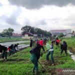Polbangtan Medan siap kirim mahasiswa ke perbatasan Entikong