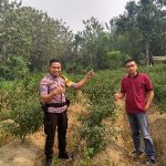 Brigpol Tatak Budi cahyono Dalam Melaksanakan Patroli Sampaikan Himbauan Waspada Hoax