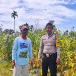 Brigpol Novi Iswandi Dialogis Dengan Petani