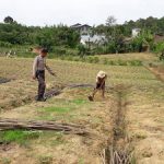 Polisi Sahabat Petani Bripka Muh Tholkah Sambangi Petani Sayur