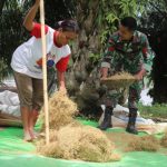 Prajurit TMMD bantu seorang ibu giling padi