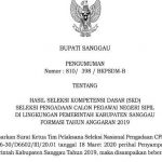Pengumuman Hasil SKD CPNS 2019 Pemkab Sanggau Kalbar, Ternyata Bisa Dipantau di ssscn.bkn.go.id
