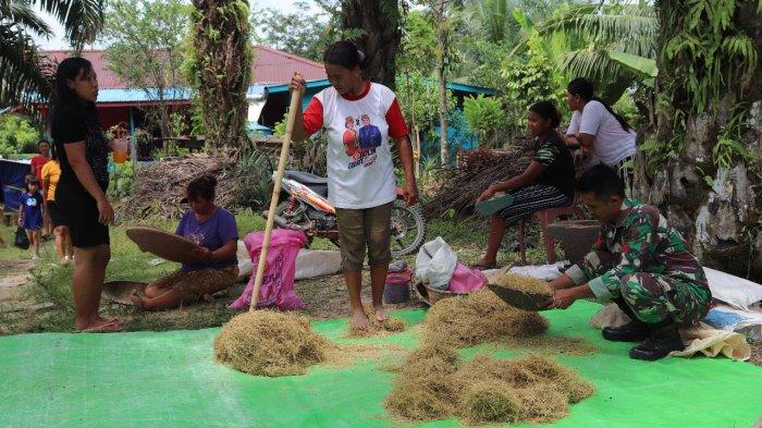 Personel Satgas TMMD Kodim Sanggau Giling Padi Bersama Warga Dusun Jonti