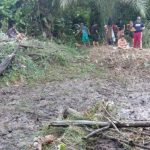 Karang Taruna Riak Sengoret di Sanggau Sulap Lahan Tidur Jadi Kolam Ikan