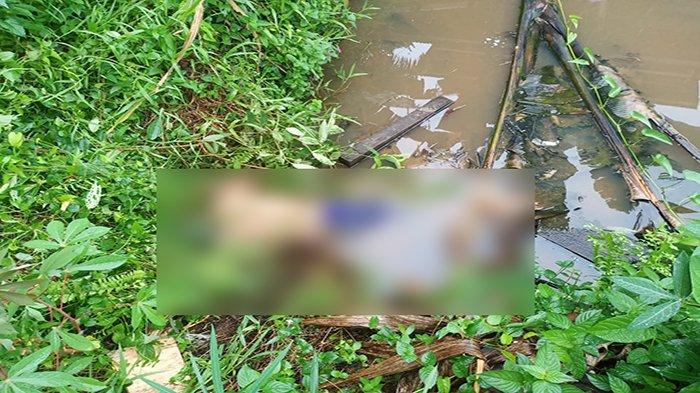 Kronologi Warga Meliau Sanggau Tersengat Listrik Alat Setrum Ikan, Ditemukan Tak Bernyawa di Kolam