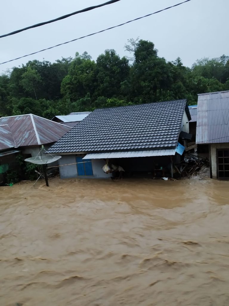 Kabar Terbaru : Banjir Bandang Landa Desa Nekan Kecamatan Entikong Kabupaten Sanggau