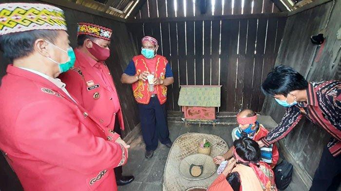 Pesta Gawai Ditiadakan, DAD Sanggau Gelar Ritual Adat Nosu Minu Podi dan Mpokant Podagi