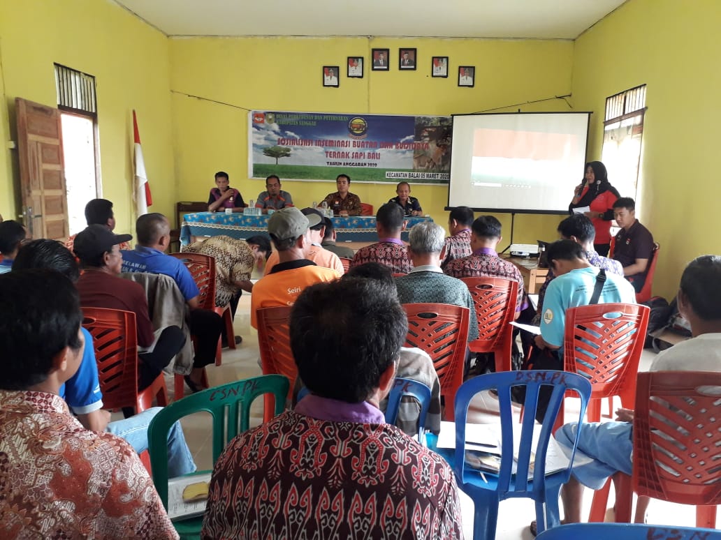 Desa Padi Kaye Respon Positif SIKOMANDAN (Sapi Kerbau Komoditi Andalan Negeri) Program Baru Kementan