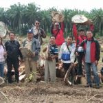 Disbunnak Sanggau Lakukan Peninjauan Lokasi Tumbang Chipping di KUD Sawit Trija Desa Kelompu