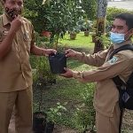 Dukung Penghijauan Sekolah, DLH berikan bantuan Bibit Tanaman ke SMPN 10 Sanggau – Dinas Lingkungan Hidup