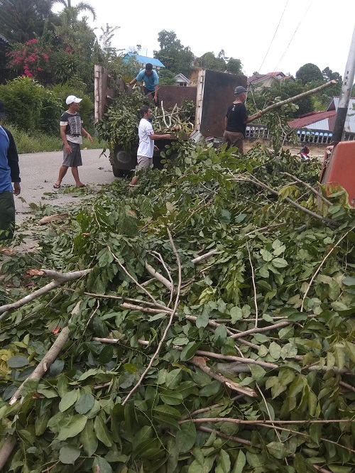 MTSN 1 Sanggau Tebang Pohon, DLH bantu angkut dan buang ke TPA – Dinas Lingkungan Hidup